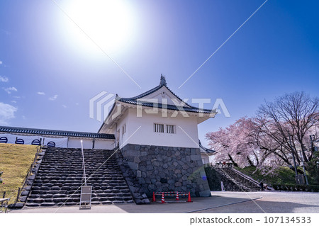 山形縣嘉城公園的山形城遺址東大手門和櫻花 107134533