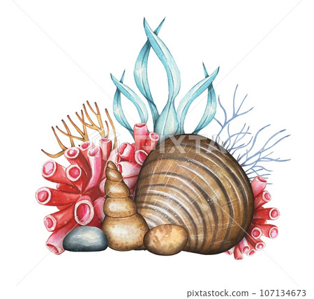 Hand drawn sea composition with shells, pebbles, corals, algae. Watercolor 107134673