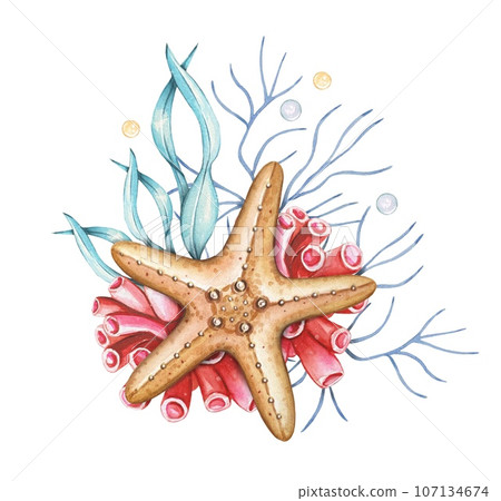 Hand drawn marine composition with yellow starfish, corals, watercolor Hand drawn marine composition with yellow starfish, corals, watercolor 107134674