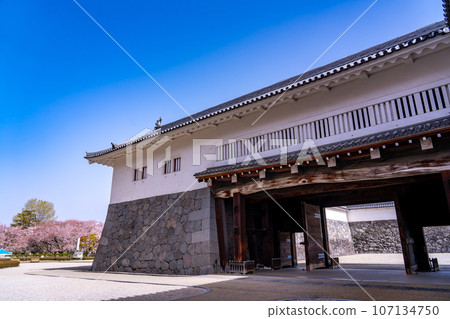 Yamagata Castle Ruins Higashi Otemon and cherry blossoms in Kajo Park, Yamagata Prefecture 107134750