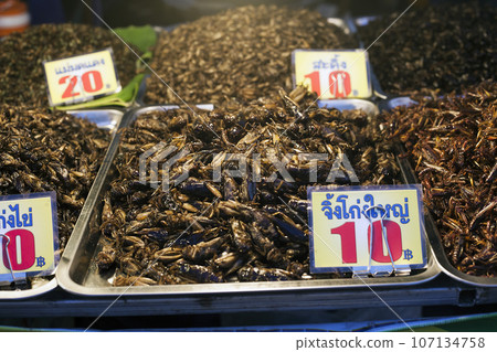 Thai food fried locust insects, night market Thai food fried locust insects, night market 107134758