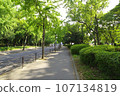 Early summer morning Scenery of Osaka Castle Park Route from Morinomiya side to Osaka Castle 2023-08-21 107134819
