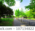 Early summer morning Scenery of Osaka Castle Park Route from Morinomiya side to Osaka Castle 2023-08-21 107134822