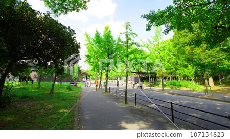 大阪城公園初夏的早晨風景 從森之宮一側到大阪城的路線 2023-08-21 107134823