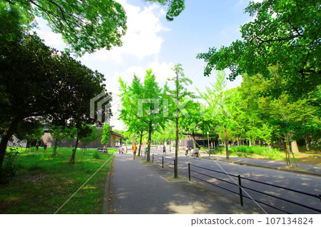 大阪城公園初夏的早晨風景 從森之宮一側到大阪城的路線 2023-08-21 大阪城公園初夏的早晨風景 從森之宮一側到大阪城的路線 2023-08-21 107134824