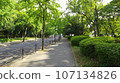 Early summer morning Scenery of Osaka Castle Park Route from Morinomiya side to Osaka Castle 2023-08-21 107134826