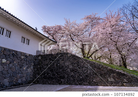 山形縣嘉城公園的山形城遺址東大手門和櫻花 107134892