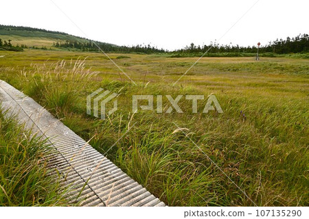 秋天的八幡平 107135290