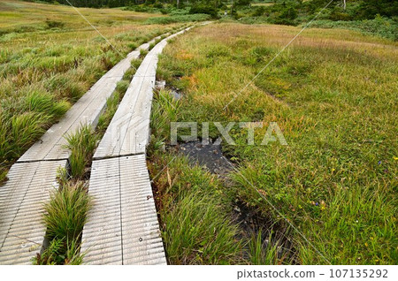 秋天的八幡平 107135292