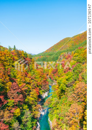 Oyasukyo (Autumn) Oyasukyo (Autumn) 107136547