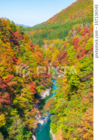 Oyasukyo (Autumn) Oyasukyo (Autumn) 107136548