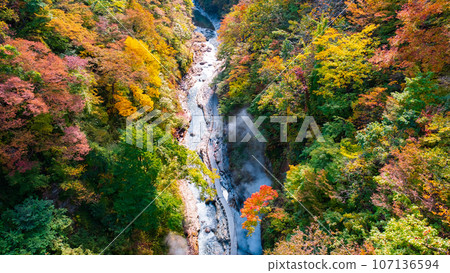 Oyasukyo (Autumn) Oyasukyo (Autumn) 107136594