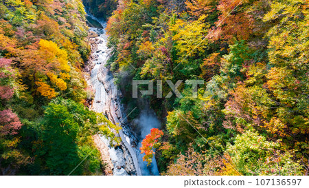 Oyasukyo (Autumn) Oyasukyo (Autumn) 107136597