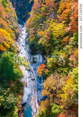 Oyasukyo (Autumn) Oyasukyo (Autumn) 107136598