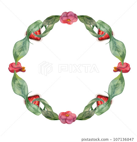 Watercolor hand drawn traditional Japanese sweets. Frame with winter wagashi and camellia. Isolated on white background. Design for invitations, restaurant menu, greeting cards, print, textile 107136847