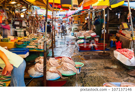 Busan Jagalchi Market Busan Jagalchi Market 107137146