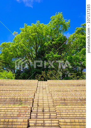 國立鄉土文化博物館（東京都國立市） 107137285