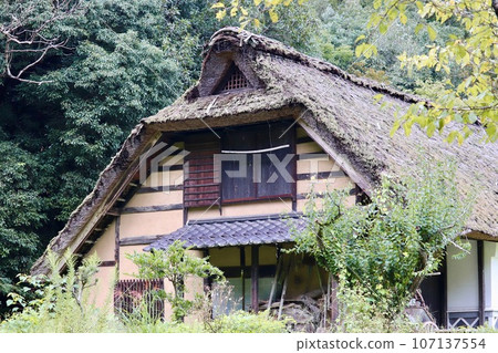 一座古老的茅草屋,無人居住。 一座古老的茅草屋,無人居住。 107137554