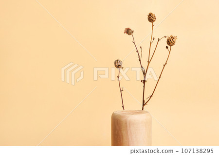 Autumn wooden podium for product, dried flowers on beige background. Autumn fall decoration 107138295