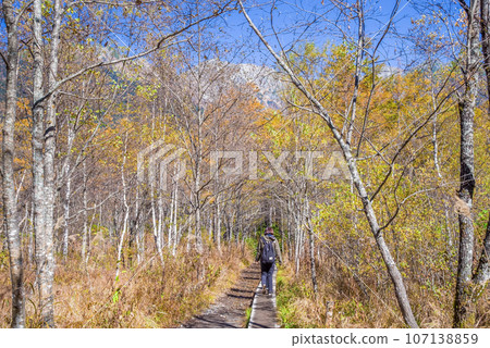 Kamikochi scenery [autumn walking course] 107138859