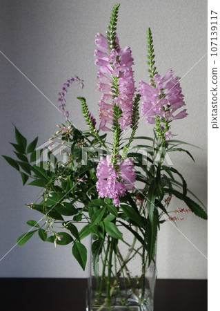Arrange a flowering tree from the garden at the entrance Arrange a flowering tree from the garden at the entrance 107139117