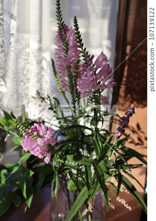 Arrange a garden lily on the windowsill Arrange a garden lily on the windowsill 107139122