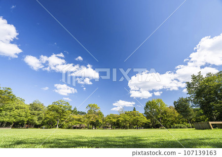 宮城縣川崎町公園風景、秋風吹過的廣場 宮城縣川崎町公園風景、秋風吹過的廣場 107139163