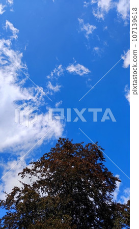 Beautiful blue sky Beautiful blue sky 107139618