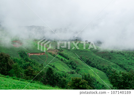 Natural mountain view on Doi Chang, Chiang Rai Province, Thailand 107140189