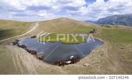 A herd of horses in mountains near a watering hole 107140246