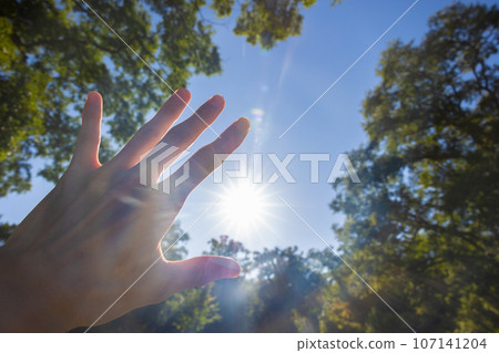 一隻手舉向陽光，周圍環繞著樹木 107141204