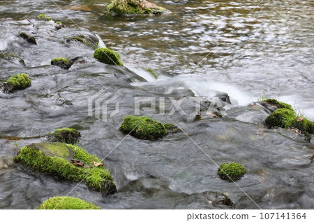 [附影片]吹出公園/羊蹄吹出泉水（北海道虻田郡京極町） 107141364