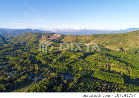 Aerial view green tropical rain forest sunny day nature landscape Aerial view green tropical rain forest sunny day nature landscape 107141757