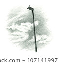 Birds, streetlights, sky and clouds - illustration drawn in pencil 107141997