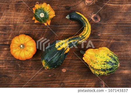 Autumn still life with pumpkins Autumn still life with pumpkins 107143837
