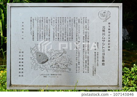 說明武藏富世居住的元荒川的本質的說明牌。 107143846