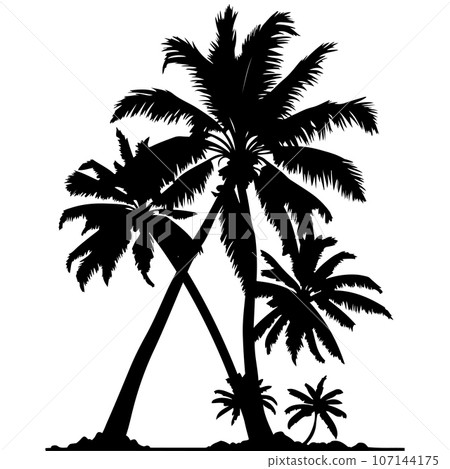 tree, palm, vector 107144175