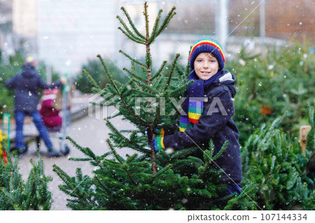 Adorable little smiling kid boy holding Christmas tree on market. Happy healthy child in winter fashion clothes choosing and buying big Xmas tree in outdoor shop. Family, tradition, celebration. Adorable little smiling kid boy holding Christmas tree on market. Happy healthy child in winter fashion clothes choosing and buying big Xmas tree in outdoor shop. Family, tradition, celebration. 107144334