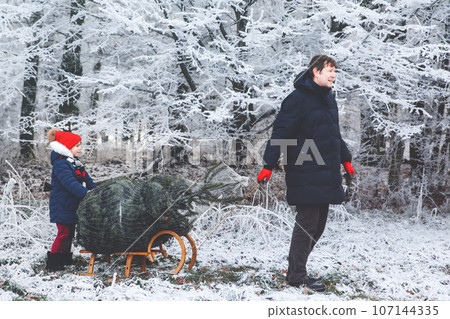 Happy little girl and dad pushing Christmas tree on sleigh. Preschool child with father, young man on fir cutting plantation. Family choose, cut and fell own xmas tree in forest. Germany tradition 107144335