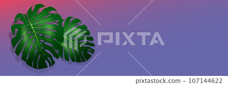 Biophilic design banner Biophilic design banner 107144622