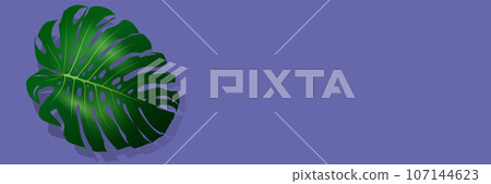 Biophilic design banner Biophilic design banner 107144623