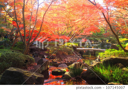 Autumn leaves of Otaku Park 107145007