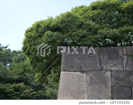 Ishigaki of Edo Castle Ruins Ishigaki of Edo Castle Ruins 107145293
