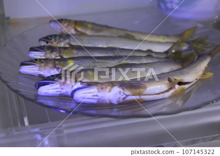 冰箱裡的野生香魚 冰箱裡的野生香魚 107145322