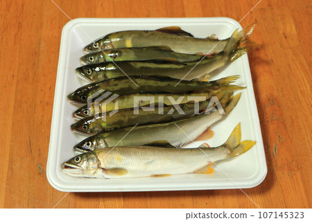 新鮮捕獲的天然香魚 新鮮捕獲的天然香魚 107145323