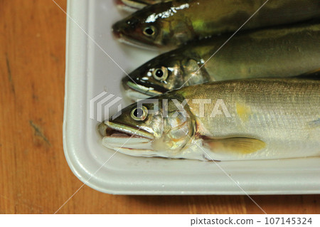 新鮮捕獲的天然香魚 新鮮捕獲的天然香魚 107145324