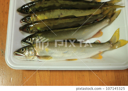 新鮮捕獲的天然香魚 新鮮捕獲的天然香魚 107145325