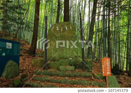 Wakayama Prefecture Kumano Kodo Tatomi Oji Ruins Wakayama Prefecture Kumano Kodo Tatomi Oji Ruins 107145379