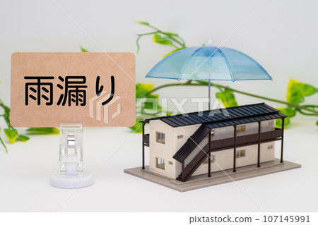 Image of a leaky apartment 107145991