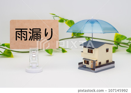 Image of a house with a leaky gable roof 107145992
